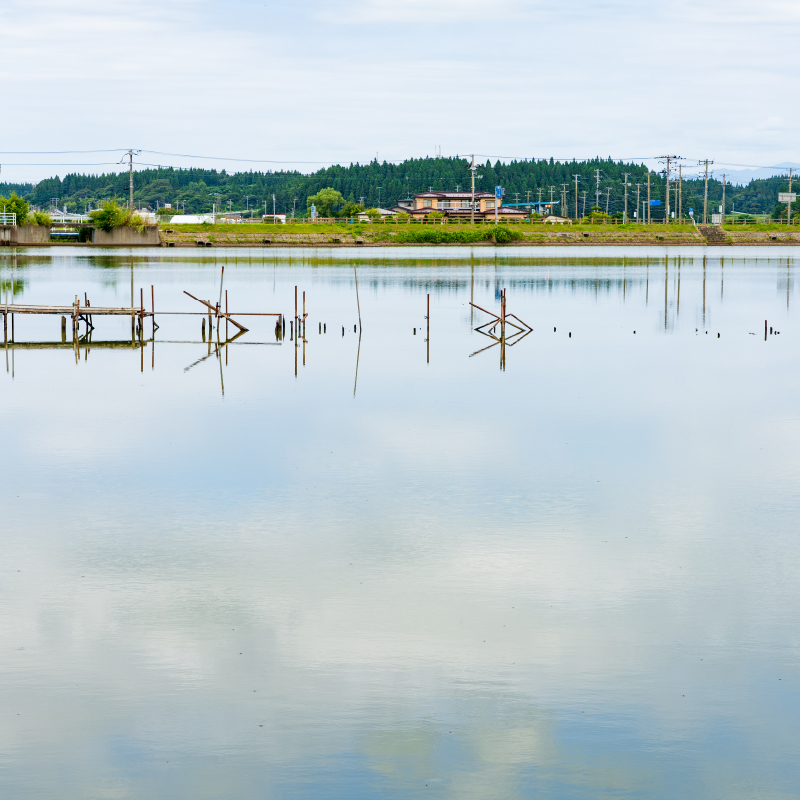 沼のいたる所に釣り台が設置された、北東北でも名高い「へらぶな」釣りの名所です。沼のそばに駐車場もあります。