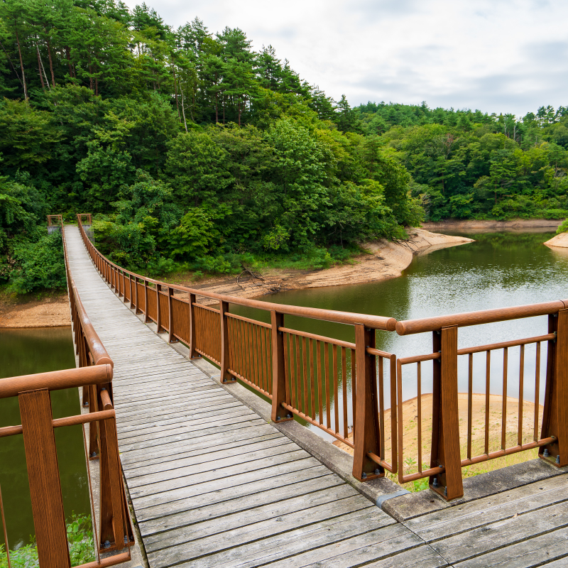 羽根川ダムを中心に広がる緑豊かな公園です。フィールドアスレチックや散策路、個室を1時間まで無料で利用できる「はねがわ湖水館」などがあります。